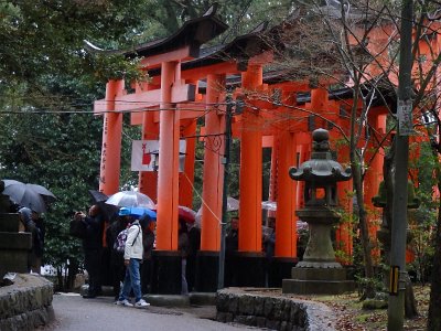 Fushimi Inari (46)