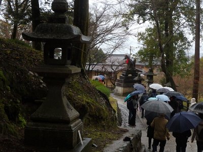 Fushimi Inari (47)