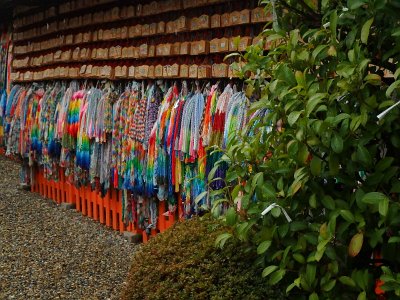 Fushimi Inari (60)