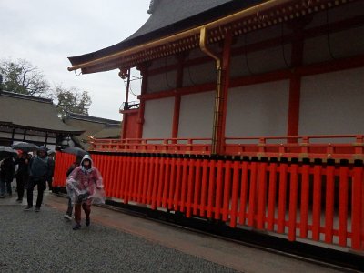 Fushimi Inari (98)