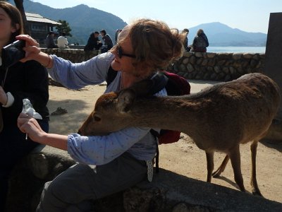 Miyajima032224 (313)