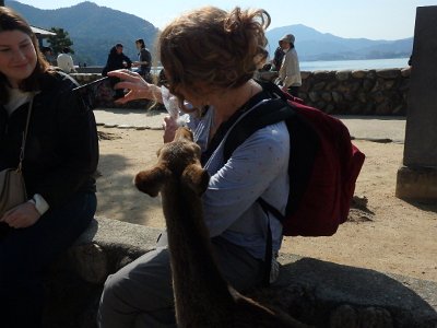 Miyajima032224 (314)