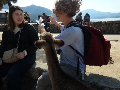 Miyajima032224 (315)