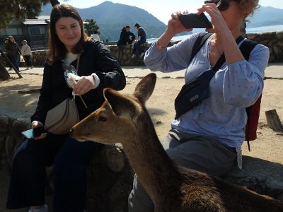 Miyajima032224 (316)