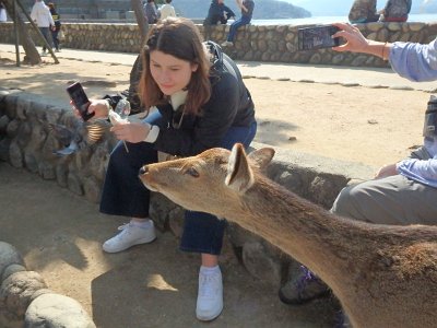 Miyajima032224 (319)