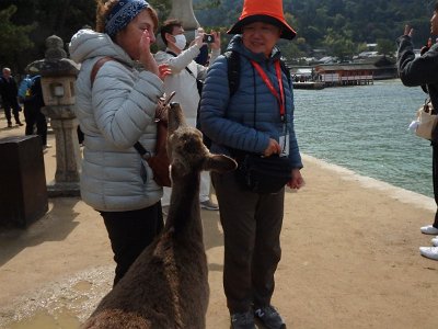 Miyajima032224 (85)