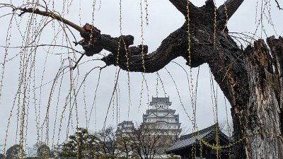 Japan24pix (483)