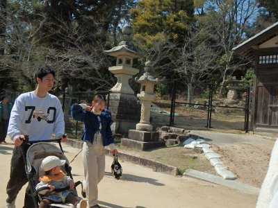 Miyajima032224 (291)