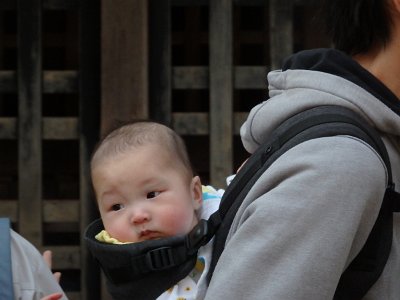 NikkoShinto shrine (28)