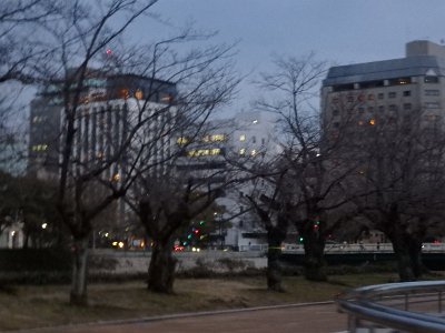 Hiroshima032124 (212)