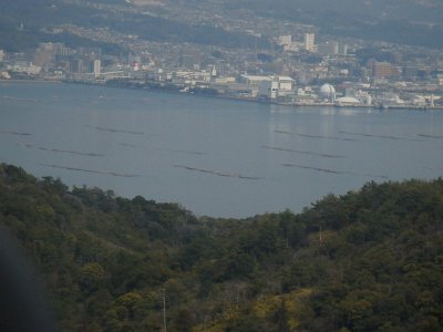 Miyajima032224 (127)