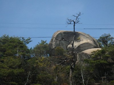 Miyajima032224 (140)