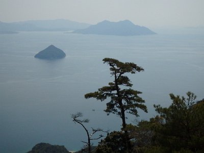 Miyajima032224 (154)