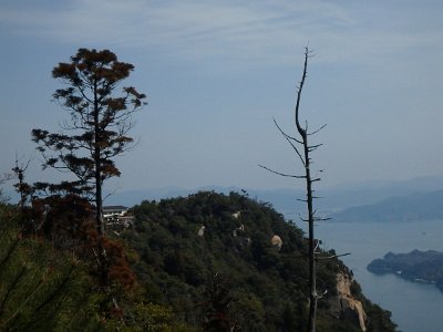 Miyajima032224 (159)