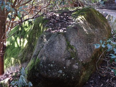 Miyajima032224 (160)