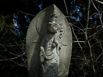 Miyajima032224 (175)