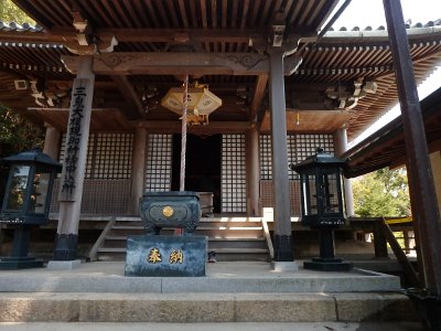 Miyajima032224 (179)