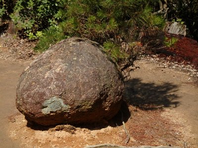 Miyajima032224 (185)