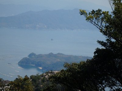 Miyajima032224 (189)