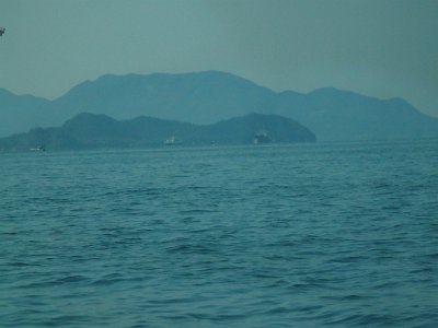 Miyajima032224 (19)