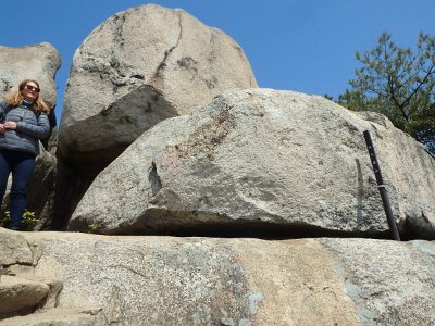 Miyajima032224 (192)