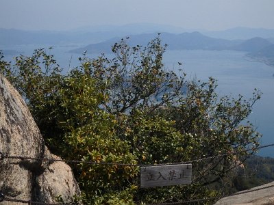 Miyajima032224 (195)