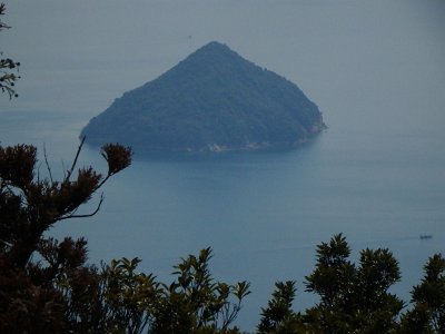 Miyajima032224 (197)