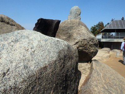 Miyajima032224 (201)