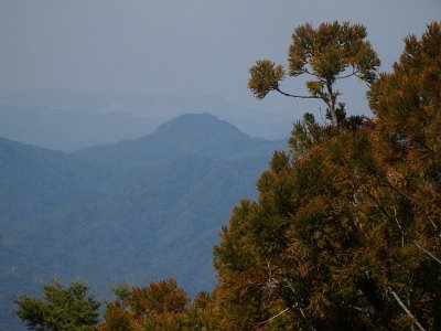 Miyajima032224 (210)