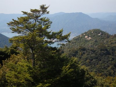 Miyajima032224 (212)