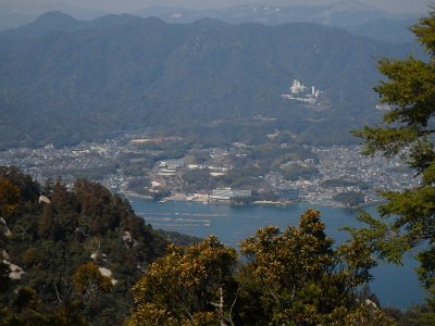 Miyajima032224 (213)