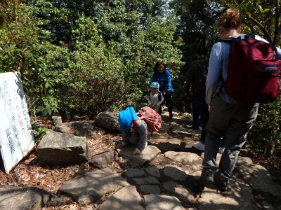 Miyajima032224 (233)