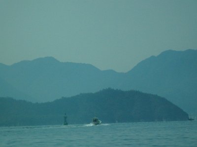 Miyajima032224 (25)