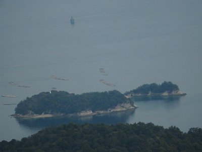 Miyajima032224 (250)