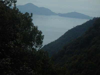 Miyajima032224 (267)