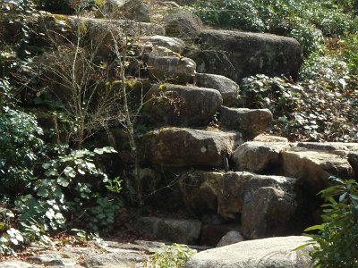 Miyajima032224 (272)