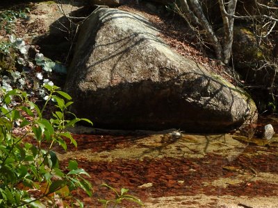 Miyajima032224 (273)