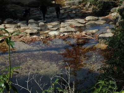 Miyajima032224 (274)