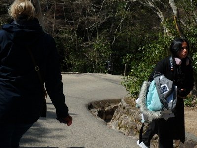 Miyajima032224 (277)