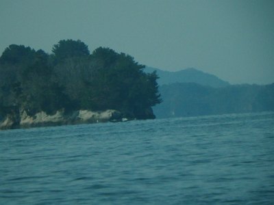 Miyajima032224 (28)