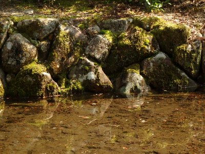 Miyajima032224 (284)