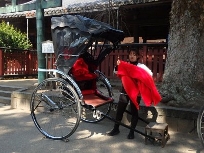 Miyajima032224 (288)