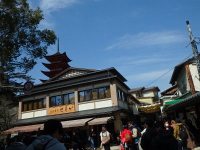 Miyajima032224 (289)