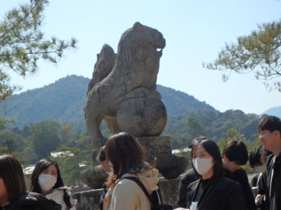 Miyajima032224 (294)