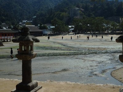 Miyajima032224 (295)