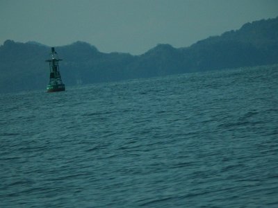 Miyajima032224 (30)