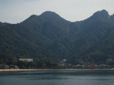 Miyajima032224 (330)