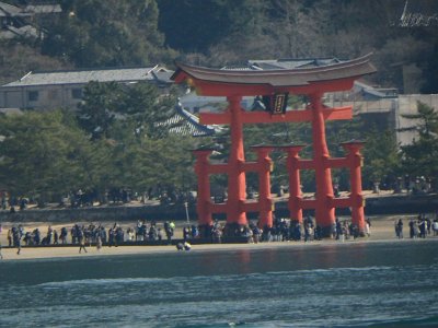 Miyajima032224 (335)