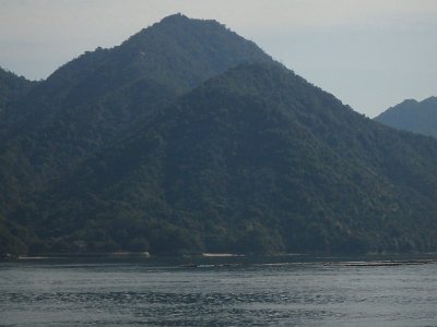 Miyajima032224 (337)