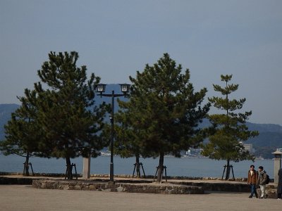 Miyajima032224 (49)